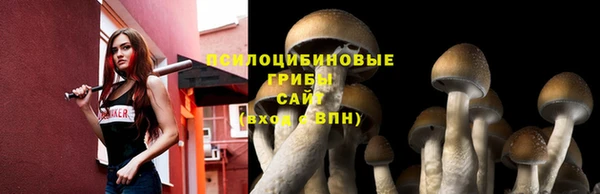 соль курить ск Армянск