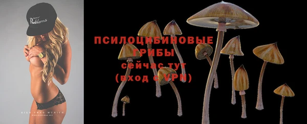 ALPHA PVP Покровск